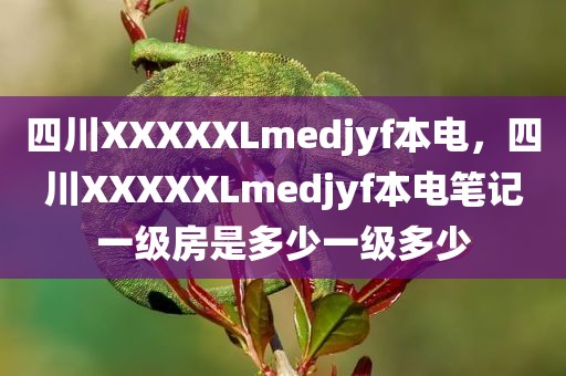 四川XXXXXLmedjyf本电，四川XXXXXLmedjyf本电笔记一级房是多少一级多少