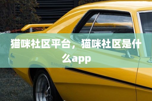 猫咪社区平台，猫咪社区是什么app