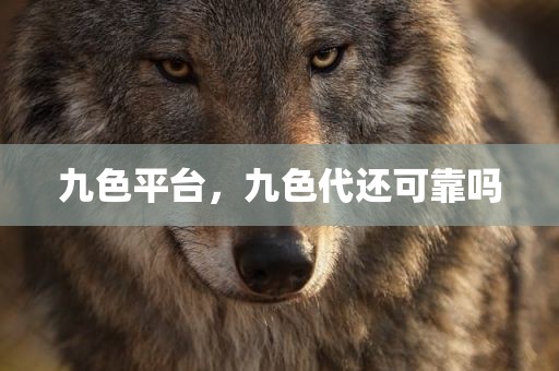 九色平台，九色代还可靠吗