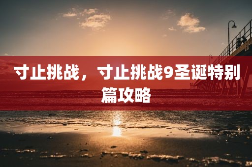 寸止挑战，寸止挑战9圣诞特别篇攻略