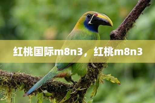 红桃国际m8n3，红桃m8n3