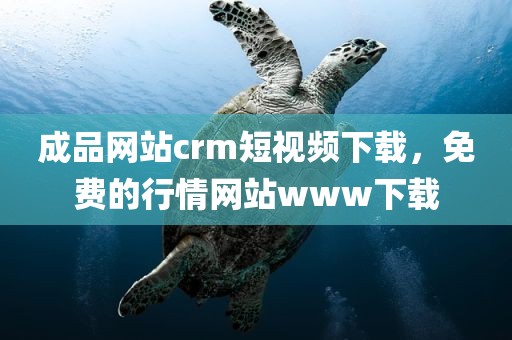 成品网站crm短视频下载，免费的行情网站www下载