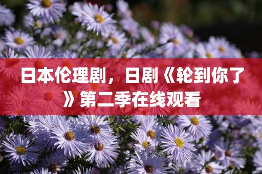 日本伦理剧，日剧《轮到你了》第二季在线观看