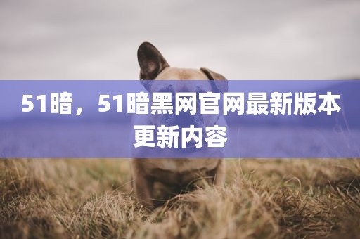51暗，51暗黑网官网最新版本更新内容