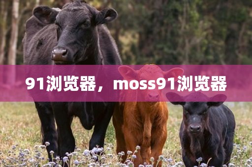 91浏览器，moss91浏览器