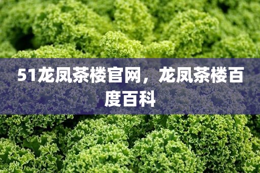 51龙凤茶楼官网，龙凤茶楼百度百科
