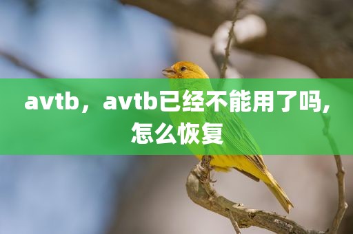 avtb，avtb已经不能用了吗,怎么恢复