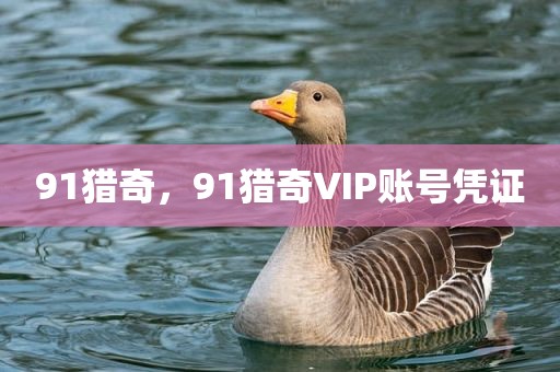 91猎奇，91猎奇VIP账号凭证