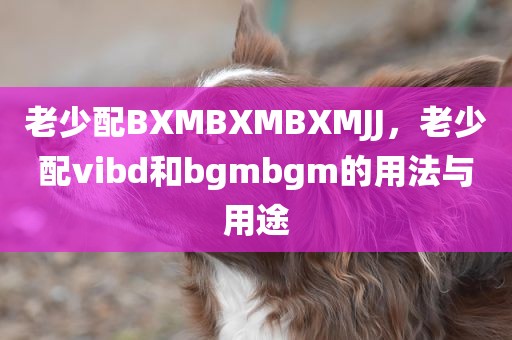 老少配BXMBXMBXMJJ，老少配vibd和bgmbgm的用法与用途