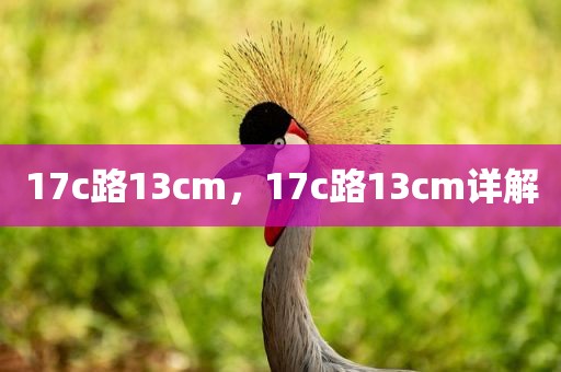 17c路13cm，17c路13cm详解