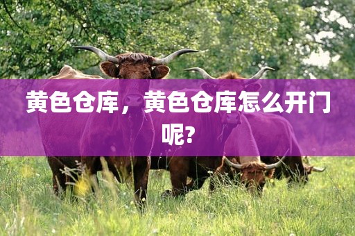 黄色仓库，黄色仓库怎么开门呢?