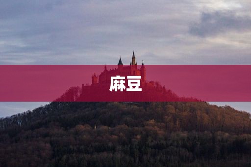 麻豆