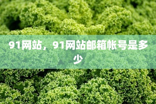 91网站，91网站邮箱帐号是多少
