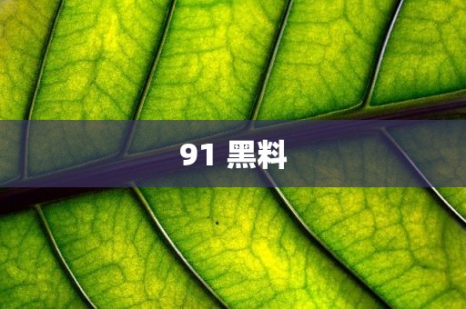 91 黑料