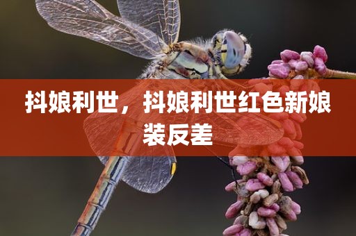 抖娘利世，抖娘利世红色新娘装反差