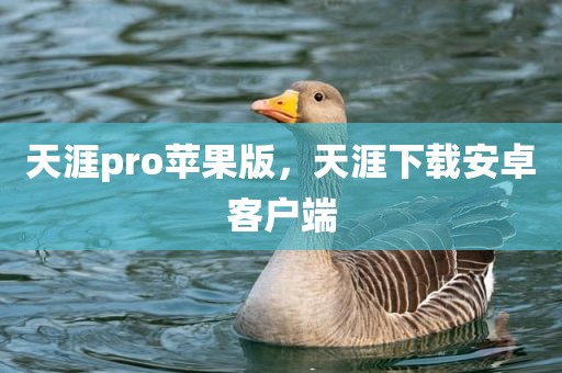 天涯pro苹果版，天涯下载安卓客户端