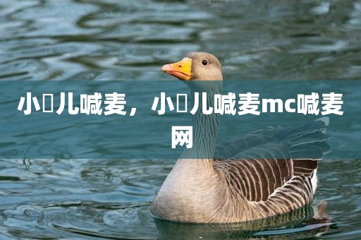 小苮儿喊麦，小苮儿喊麦mc喊麦网