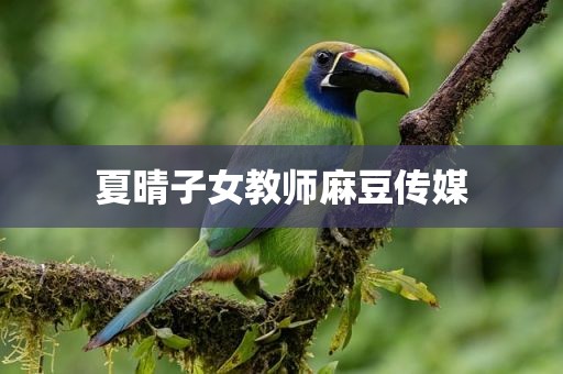 夏晴子女教师麻豆传媒