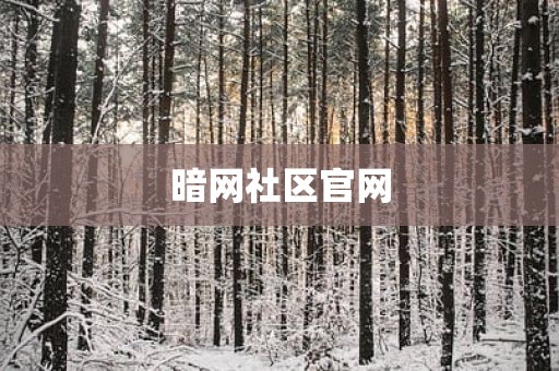 暗网社区官网