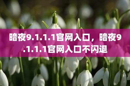 暗夜9.1.1.1官网入口，暗夜9.1.1.1官网入口不闪退
