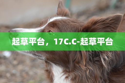 起草平台，17C.C-起草平台