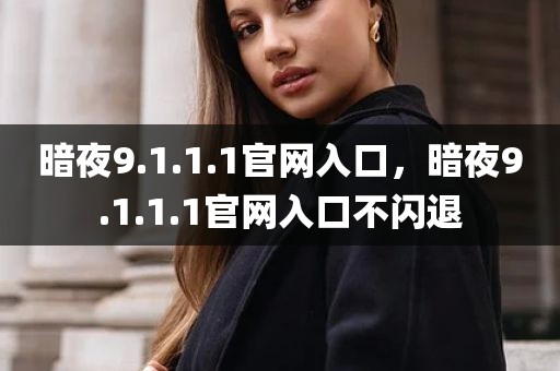 暗夜9.1.1.1官网入口，暗夜9.1.1.1官网入口不闪退