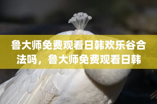 鲁大师免费观看日韩欢乐谷合法吗，鲁大师免费观看日韩
