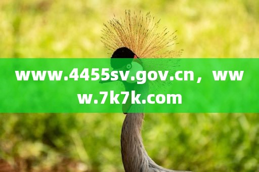 www.4455sv.gov.cn，www.7k7k.com
