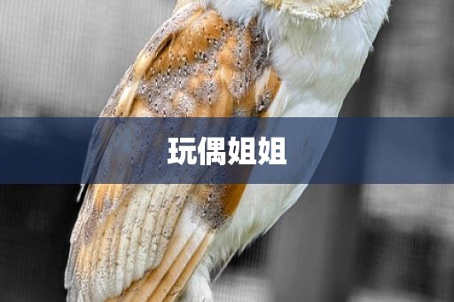 玩偶姐姐