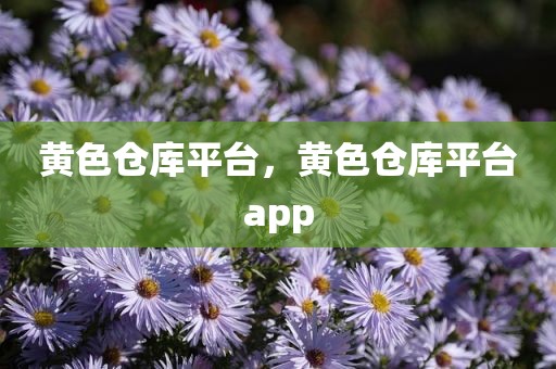 黄色仓库平台，黄色仓库平台app