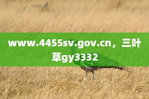 www.4455sv.gov.cn，三叶草gy3332