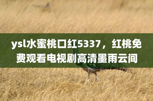 ysl水蜜桃口红5337，红桃免费观看电视剧高清墨雨云间