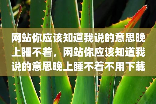 网站你应该知道我说的意思晚上睡不着，网站你应该知道我说的意思晚上睡不着不用下载