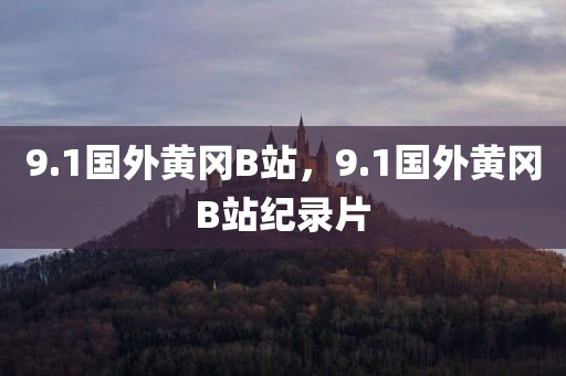 9.1国外黄冈B站，9.1国外黄冈B站纪录片