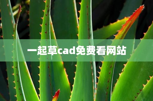一起草cad免费看网站