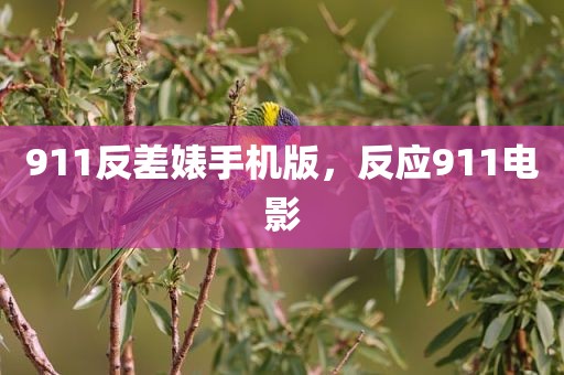 911反差婊手机版，反应911电影