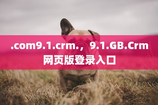 .com9.1.crm.，9.1.GB.Crm网页版登录入口
