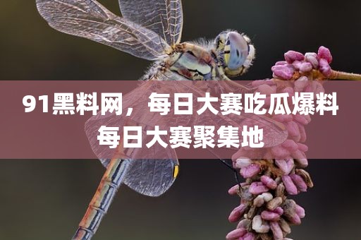 91黑料网，每日大赛吃瓜爆料每日大赛聚集地
