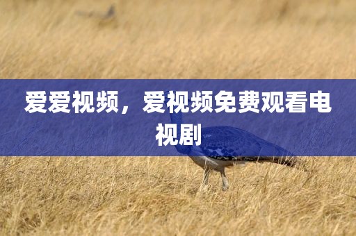 爱爱视频，爱视频免费观看电视剧