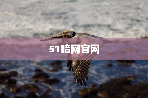 51暗网官网