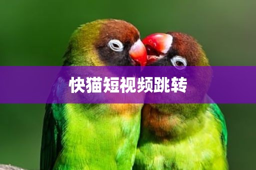 快猫短视频跳转