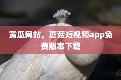 黄瓜网站，蘑菇短视频app免费版本下载