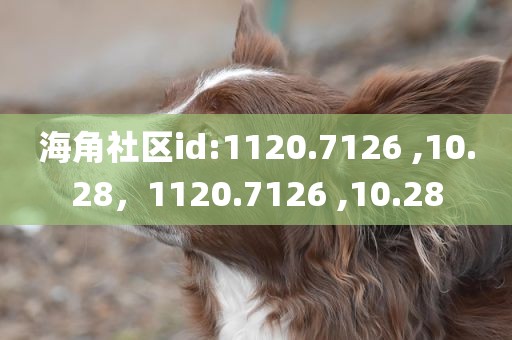海角社区id:1120.7126 ,10.28，1120.7126 ,10.28