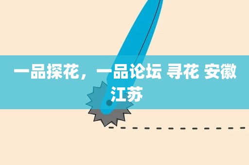 一品探花，一品论坛 寻花 安徽 江苏