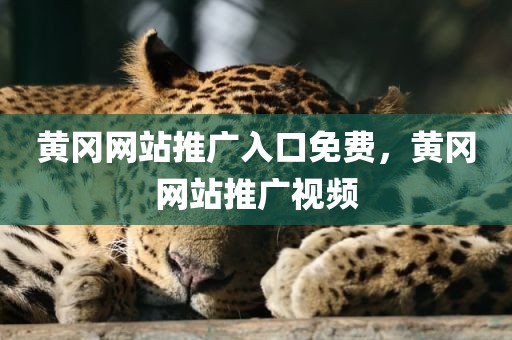 黄冈网站推广入口免费，黄冈网站推广视频