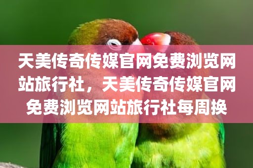 天美传奇传媒官网免费浏览网站旅行社，天美传奇传媒官网免费浏览网站旅行社每周换