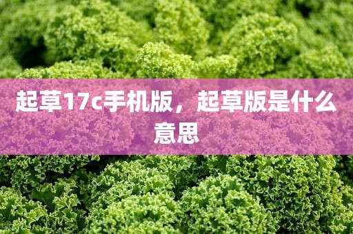 起草17c手机版，起草版是什么意思
