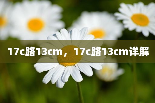 17c路13cm，17c路13cm详解