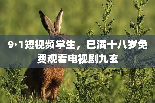 9·1短视频学生，已满十八岁免费观看电视剧九玄