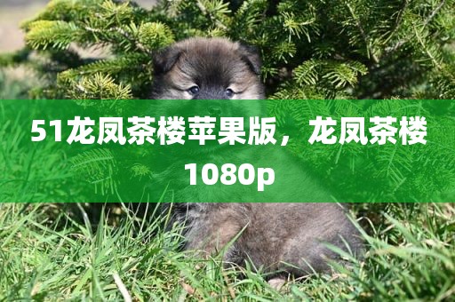 51龙凤茶楼苹果版，龙凤茶楼1080p
